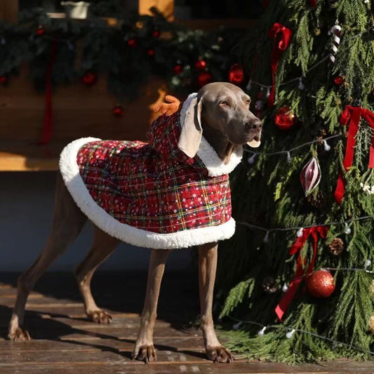Christmas Reindeer Plaid Cape for Large Dogs – Cozy Winter Holiday Cloak