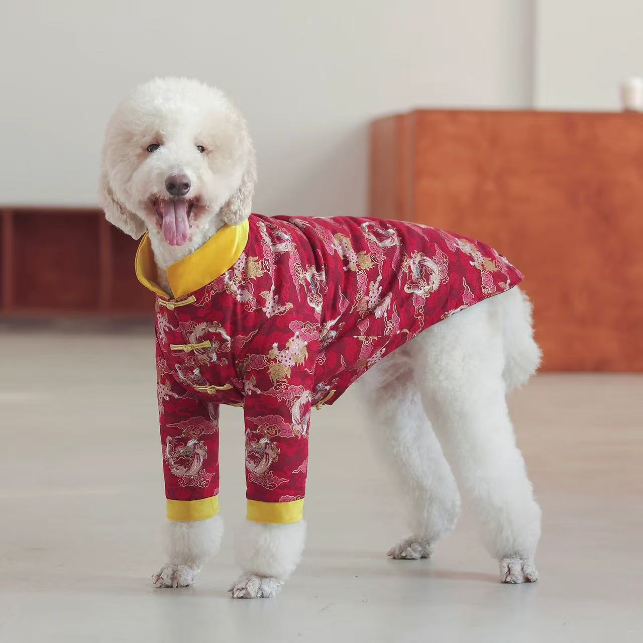 Pet Tang Suit for Chinese New Year