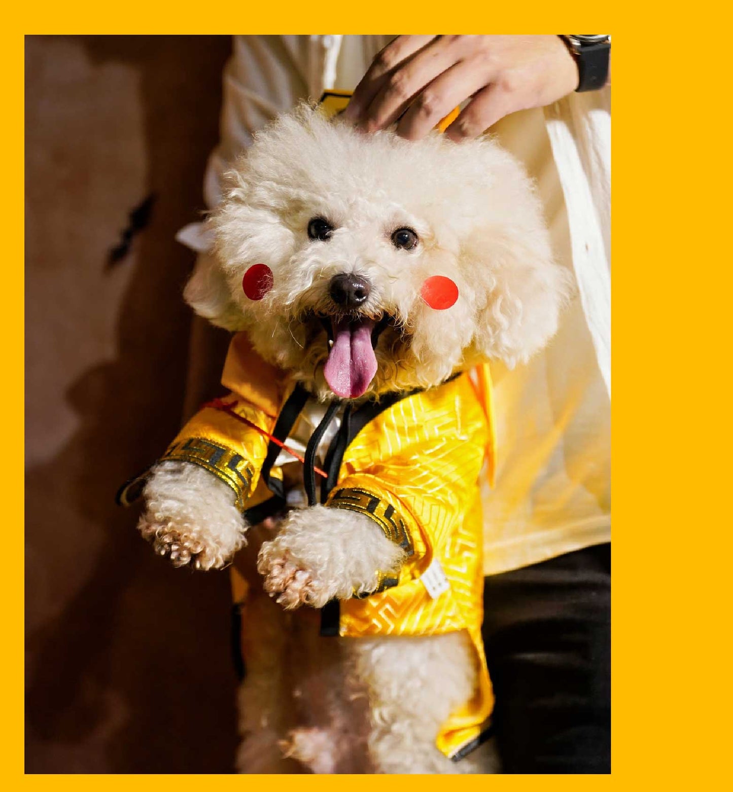 Pet Taoist Priest Costume – Traditional Chinese Cosplay Outfit for Pets