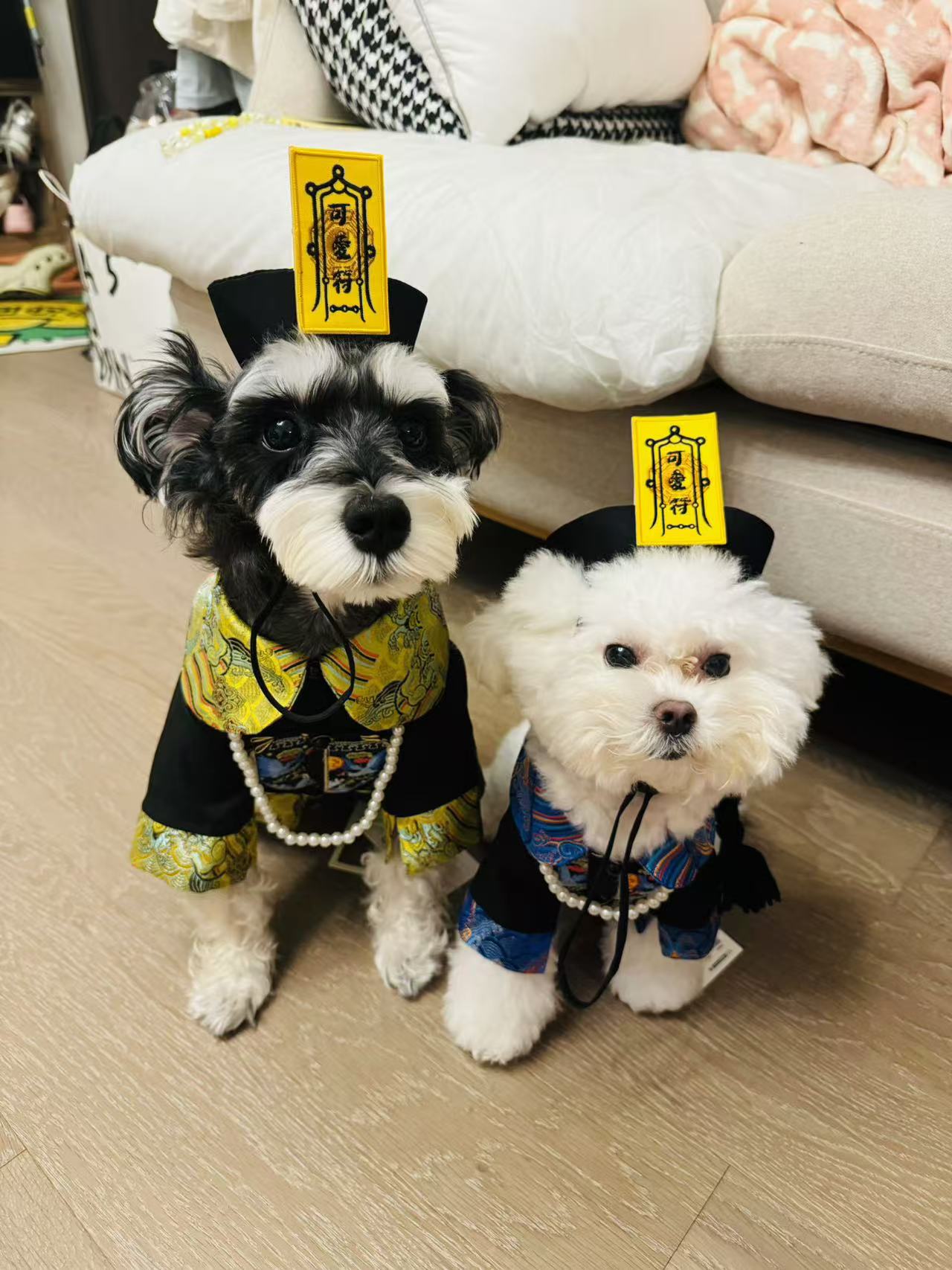 Pet Zombie Cosplay Costume – Spooky & Adorable Outfit for Pets