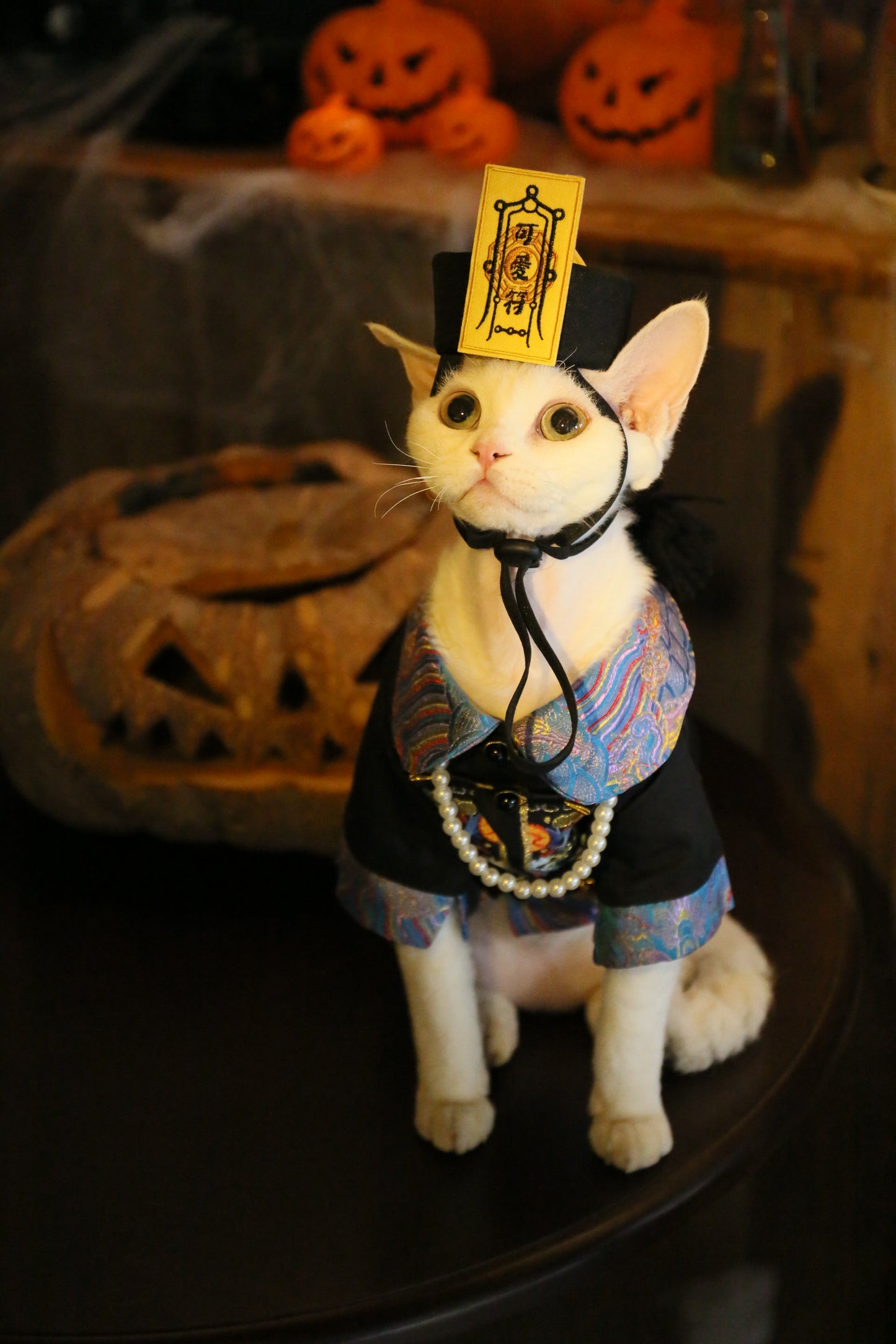 Pet Zombie Cosplay Costume – Spooky & Adorable Outfit for Pets