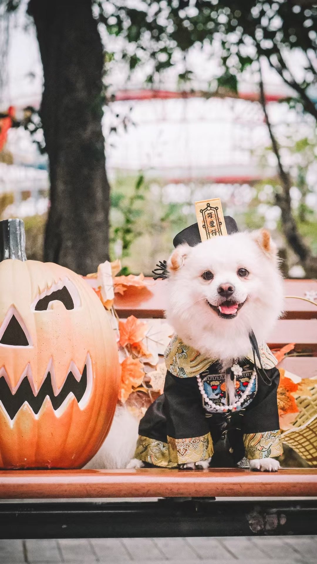 Pet Zombie Cosplay Costume – Spooky & Adorable Outfit for Pets