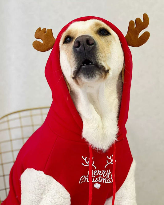 Wepeto Christmas Reindeer Hoodie for Medium & Large Dogs