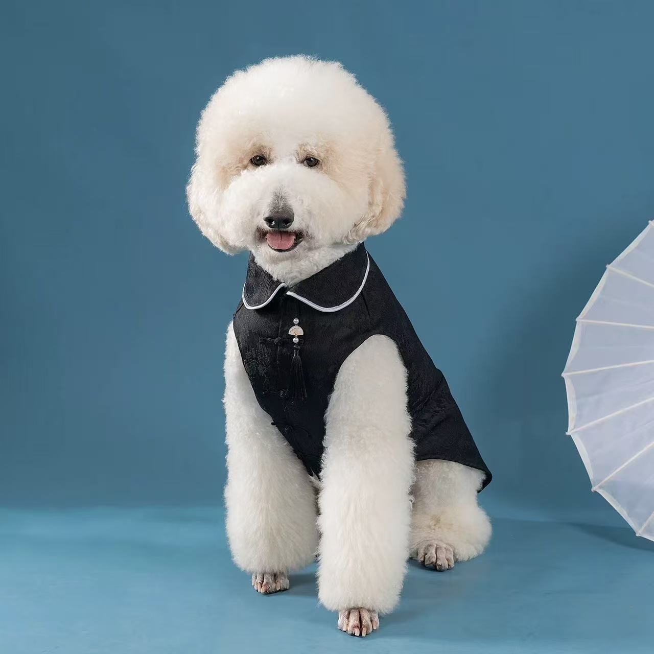 Elegant Chinese Tang-Style Pet Jacket