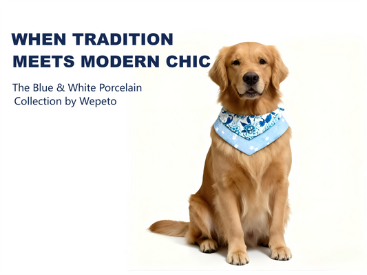 Blue & White Porcelain Pet Bib: Tradition Meets Modern Pet Fashion | Wepeto