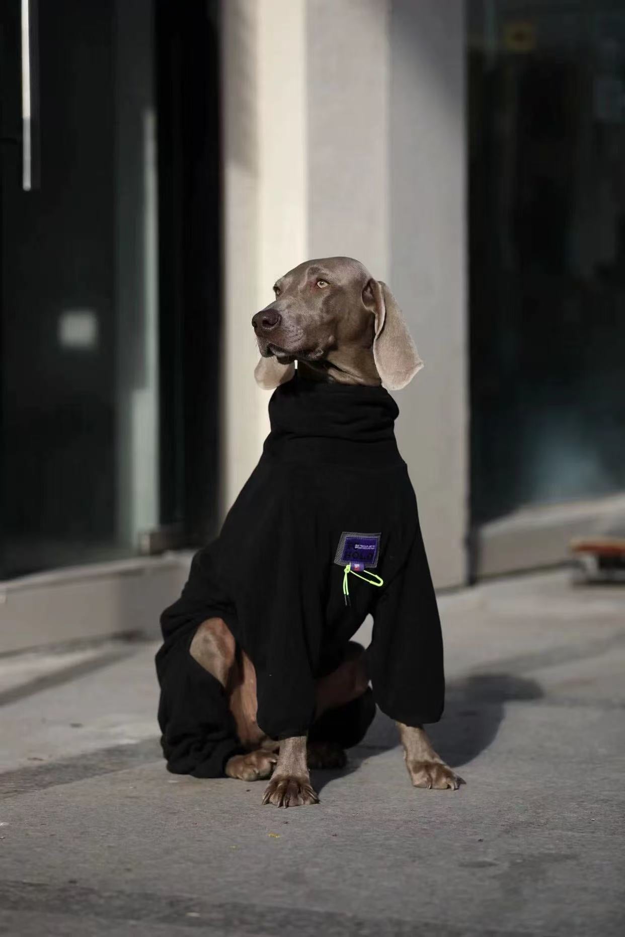 Winter Warm Jumpsuit for Medium & Large Dogs