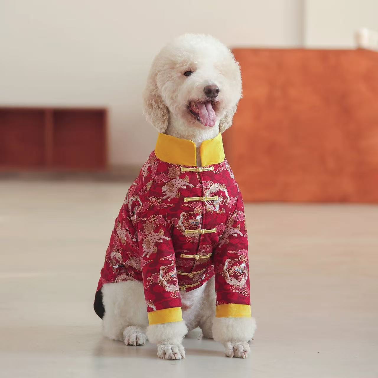 Pet Tang Suit for Chinese New Year