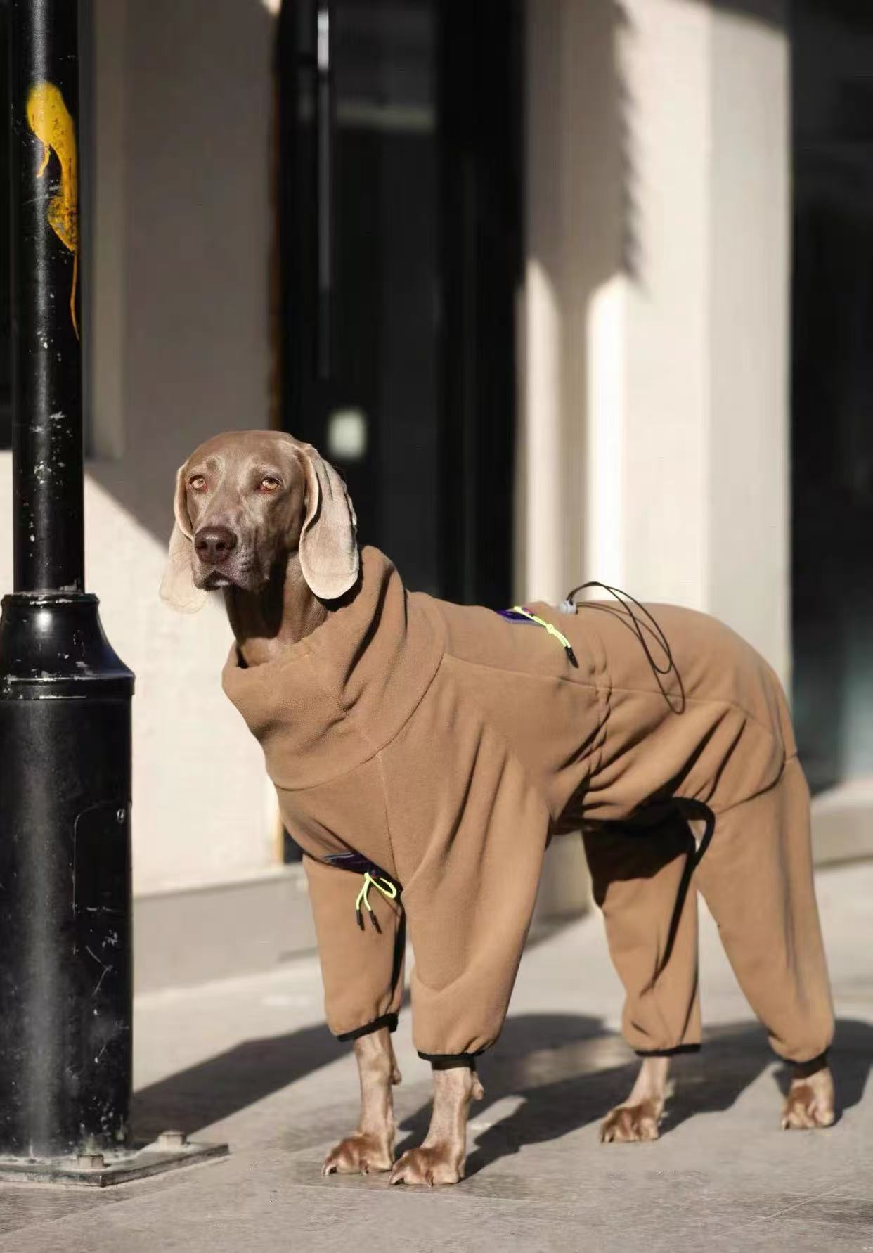 Winter Warm Jumpsuit for Medium & Large Dogs