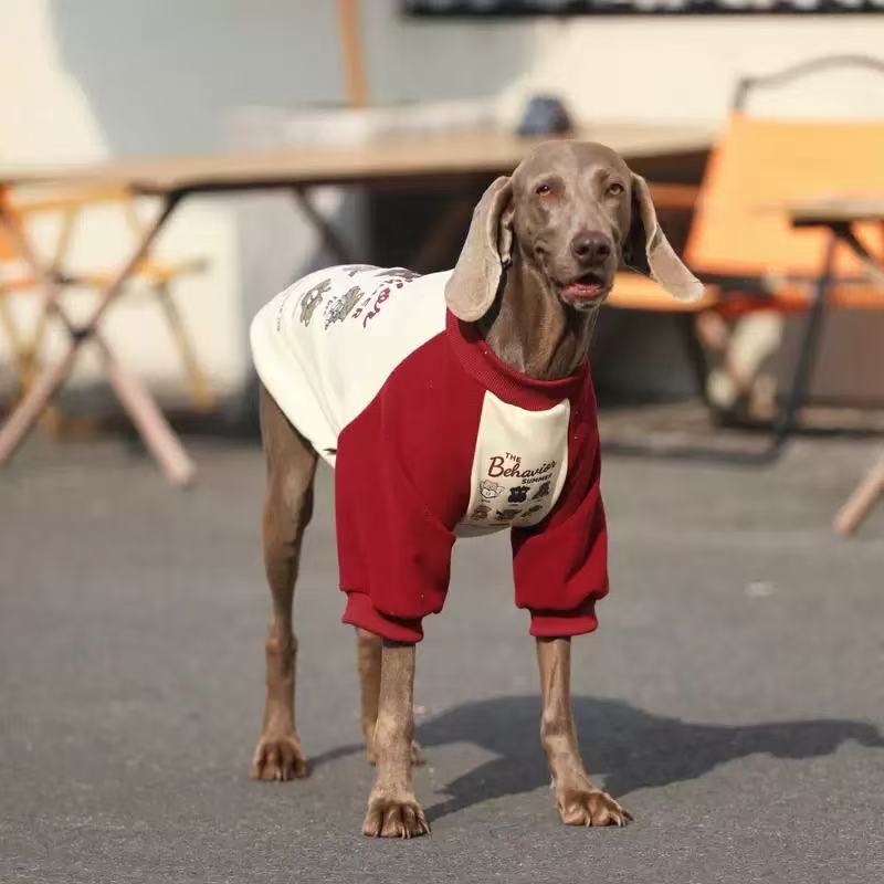 Warm Winter Sweatshirt for Medium & Large Dogs – Cozy Street Style