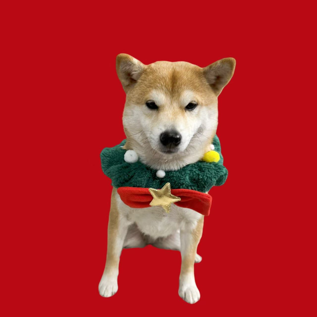 Christmas Wreath Collar for Pets – Festive Decorative Accessory