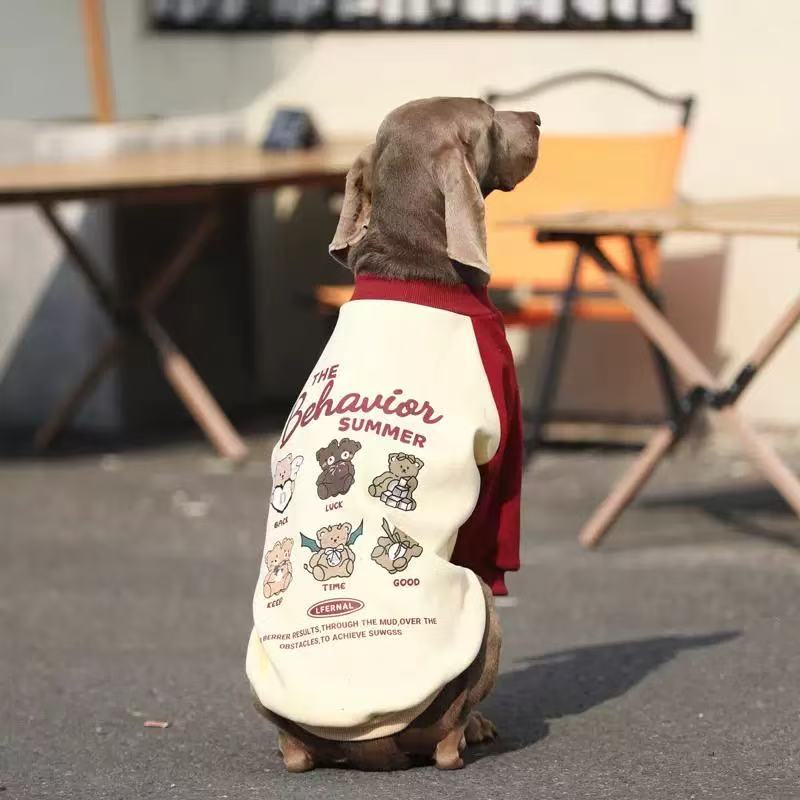 Warm Winter Sweatshirt for Medium & Large Dogs – Cozy Street Style