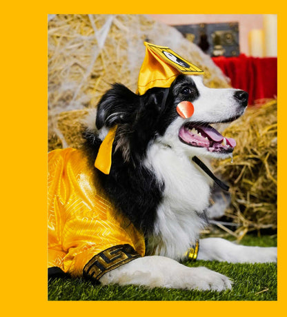 Pet Taoist Priest Costume – Traditional Chinese Cosplay Outfit for Pets