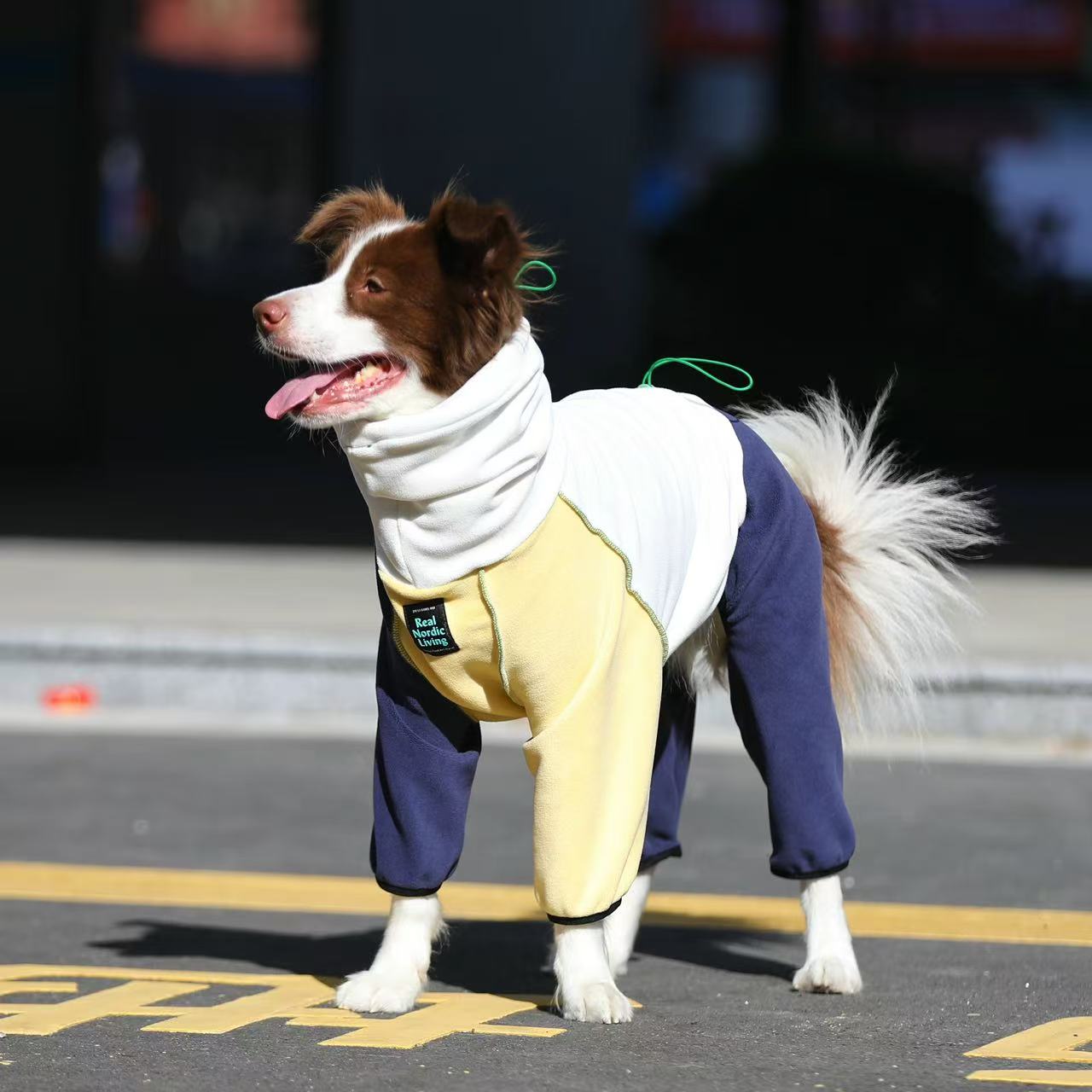 Nordic Style Winter Jumpsuit for Large Dogs – Cozy Four-Leg Fleece Outfit