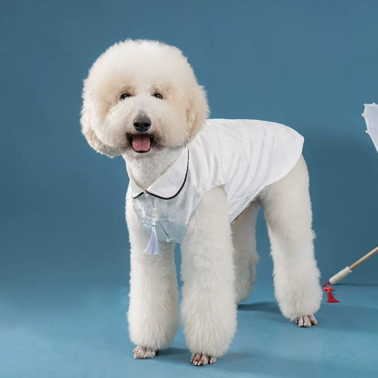Elegant Chinese Tang-Style Pet Jacket
