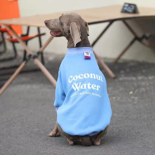 Cozy Winter Hoodie for Medium & Large Dogs – “Coconut Water” Edition