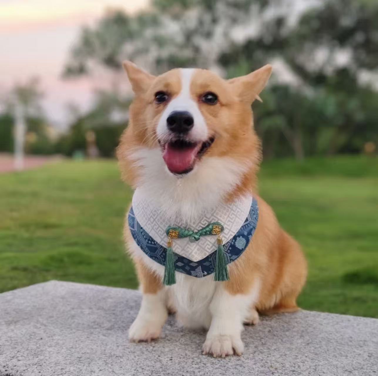Guangxi Zhuang Brocade Pet Bib