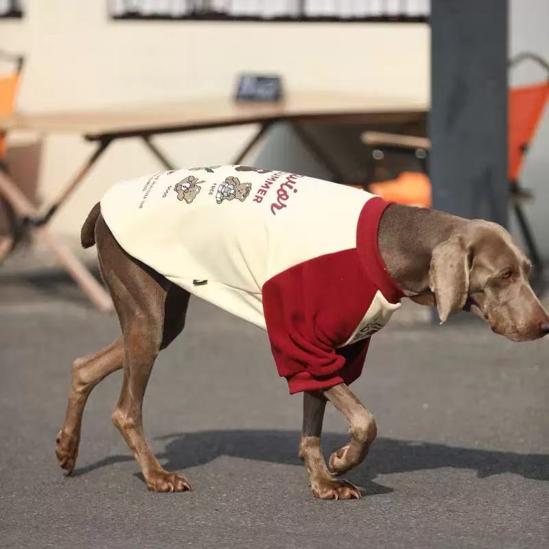 Warm Winter Sweatshirt for Medium & Large Dogs – Cozy Street Style