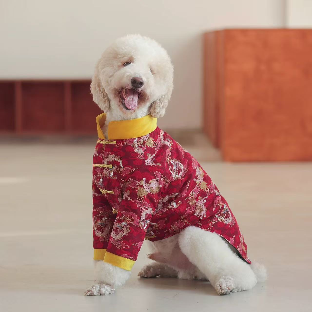 Pet Tang Suit for Chinese New Year