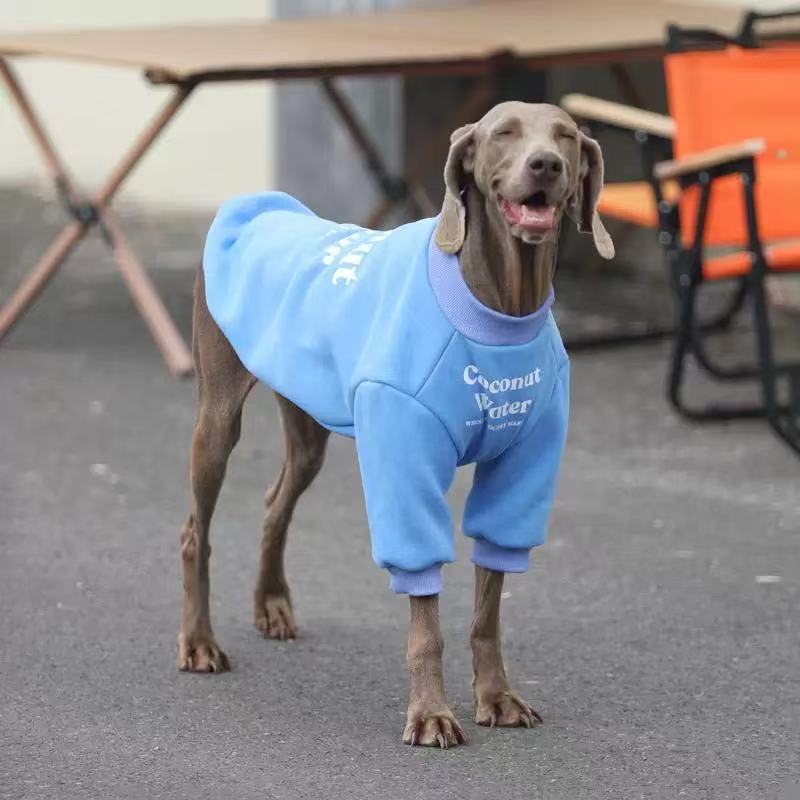 Cozy Winter Hoodie for Medium & Large Dogs – “Coconut Water” Edition