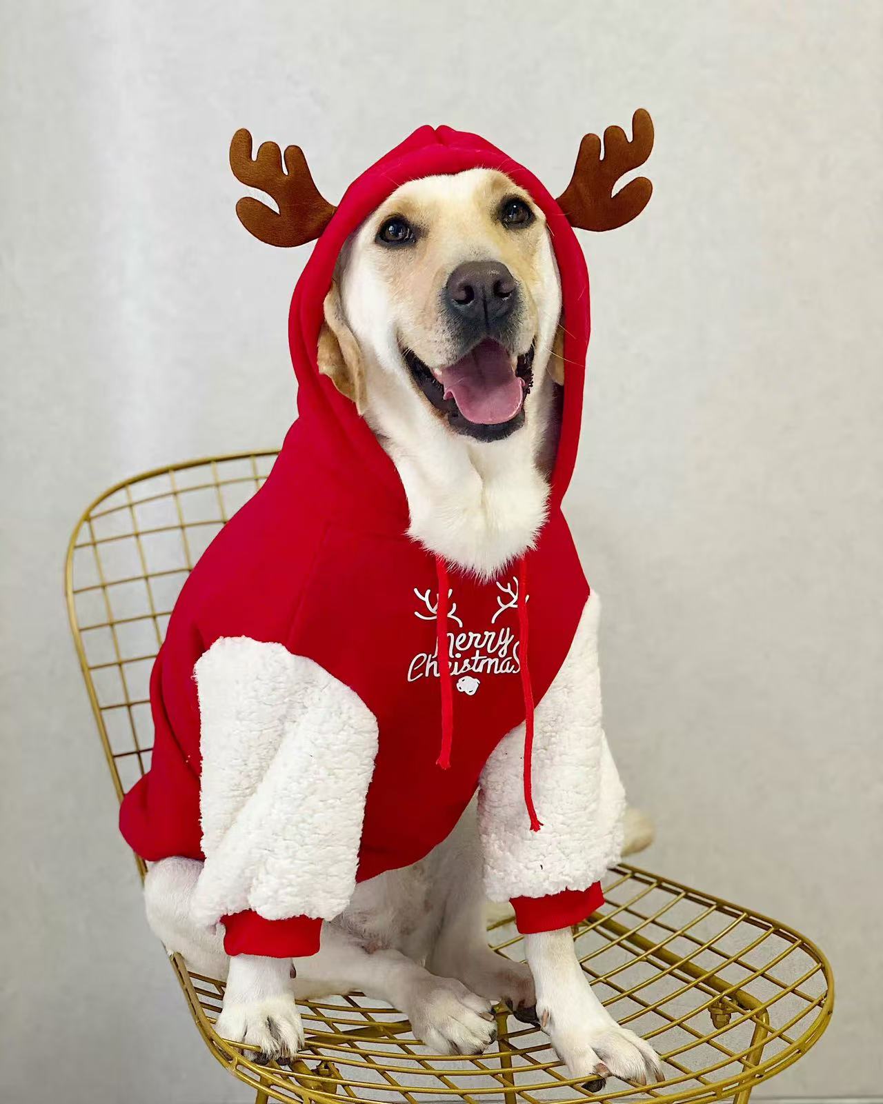 Wepeto Christmas Reindeer Hoodie for Medium & Large Dogs