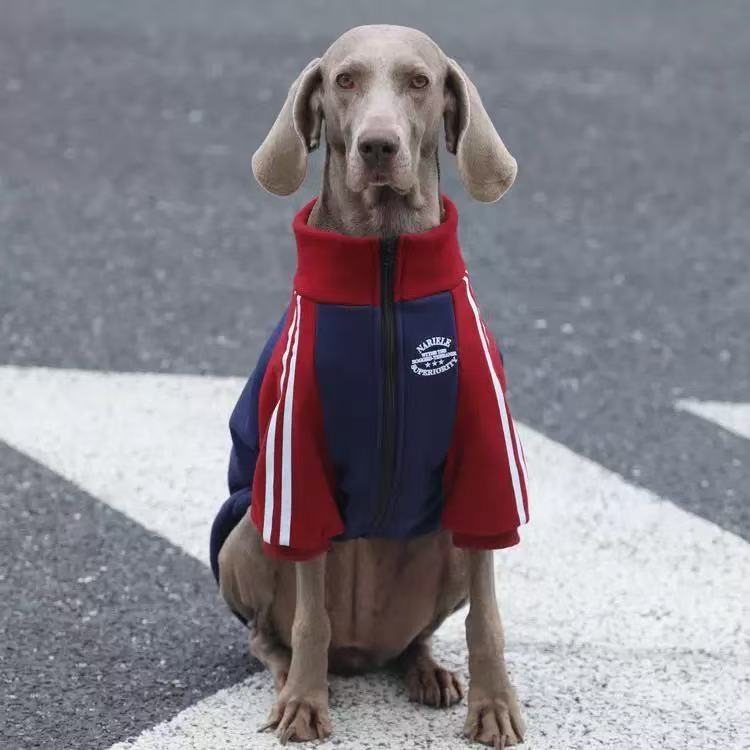 Sporty Winter Dog Sweatshirt for Large Breeds – Warm & Stylish Fleece Hoodie