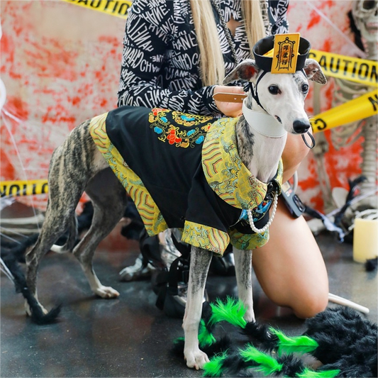 Pet Zombie Cosplay Costume – Spooky & Adorable Outfit for Pets