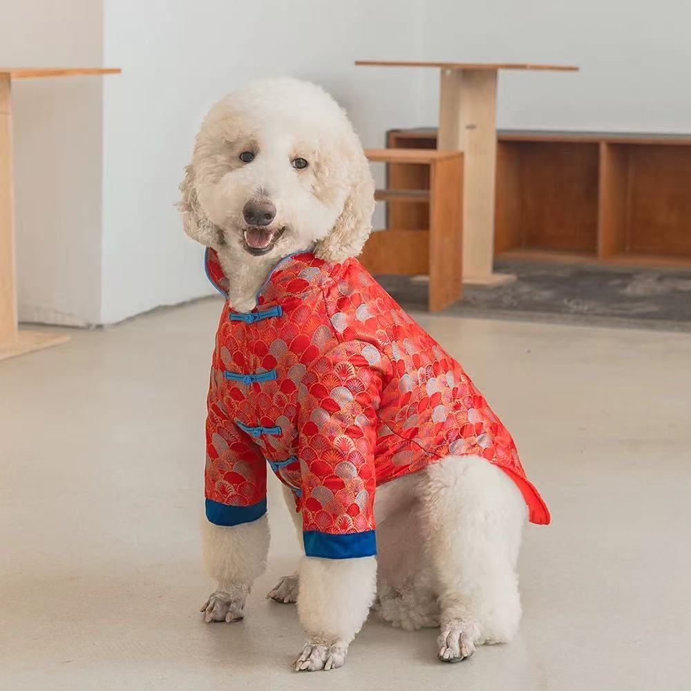 Pet New Year Tang Suit – Celebrate Lunar Joy in Style