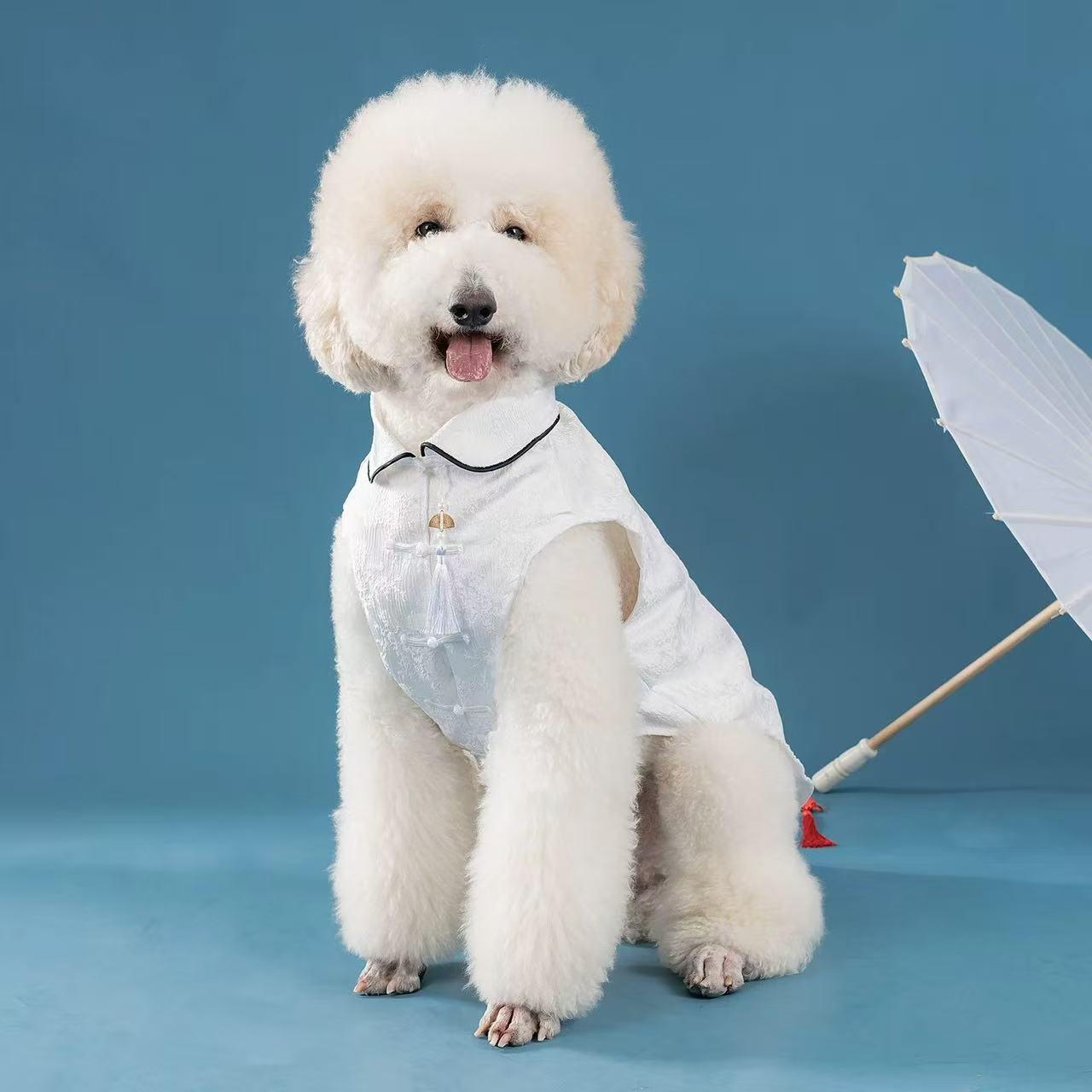 Elegant Chinese Tang-Style Pet Jacket