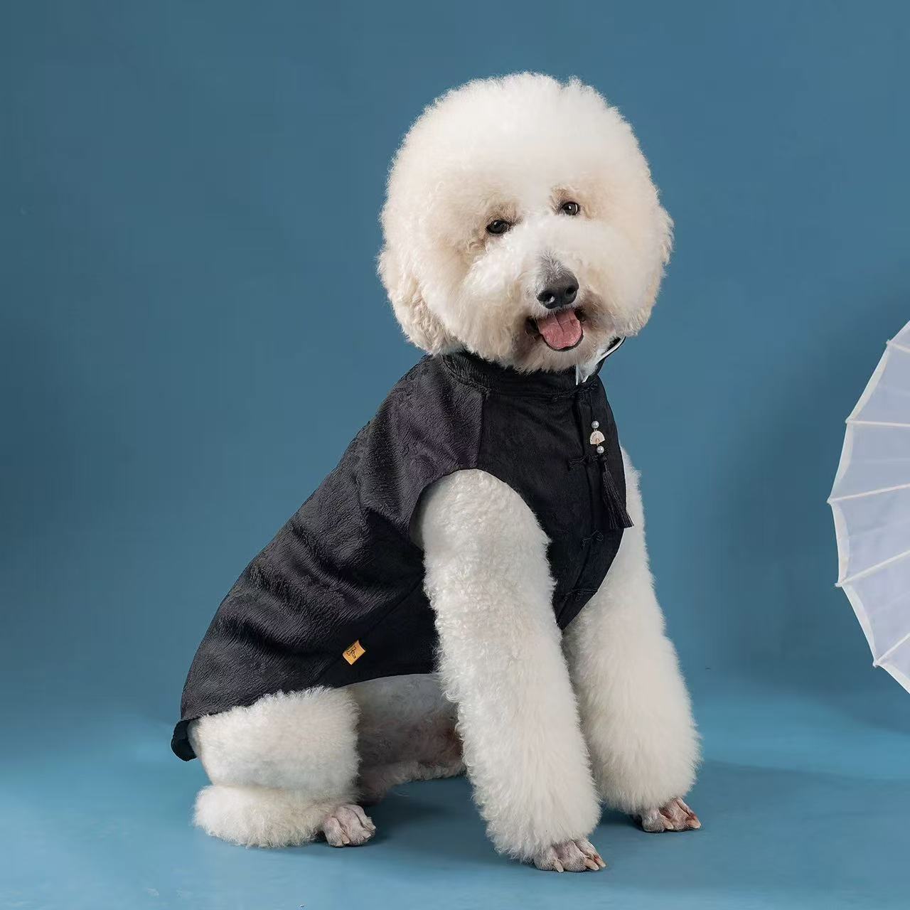 Elegant Chinese Tang-Style Pet Jacket