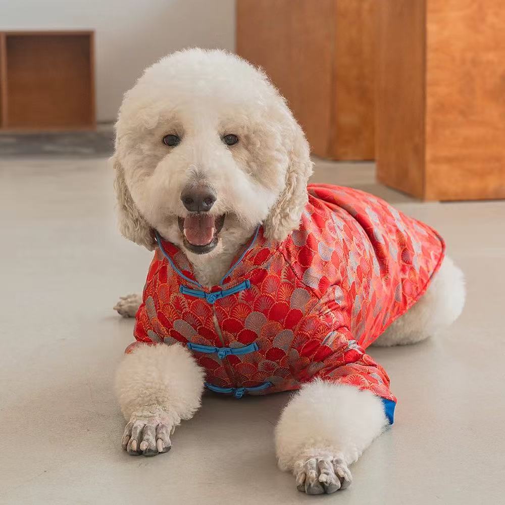 Pet New Year Tang Suit – Celebrate Lunar Joy in Style