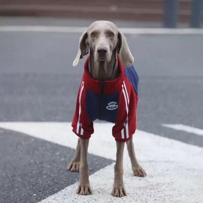 Sporty Winter Dog Sweatshirt for Large Breeds – Warm & Stylish Fleece Hoodie