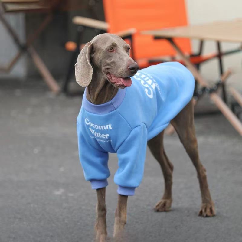 Cozy Winter Hoodie for Medium & Large Dogs – “Coconut Water” Edition