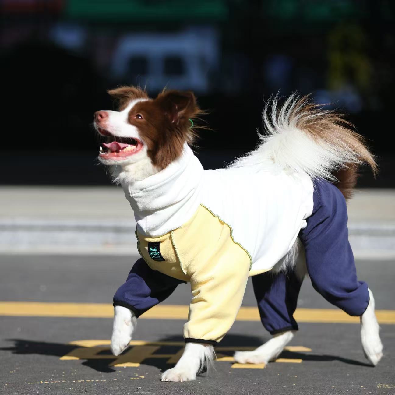 Nordic Style Winter Jumpsuit for Large Dogs – Cozy Four-Leg Fleece Outfit