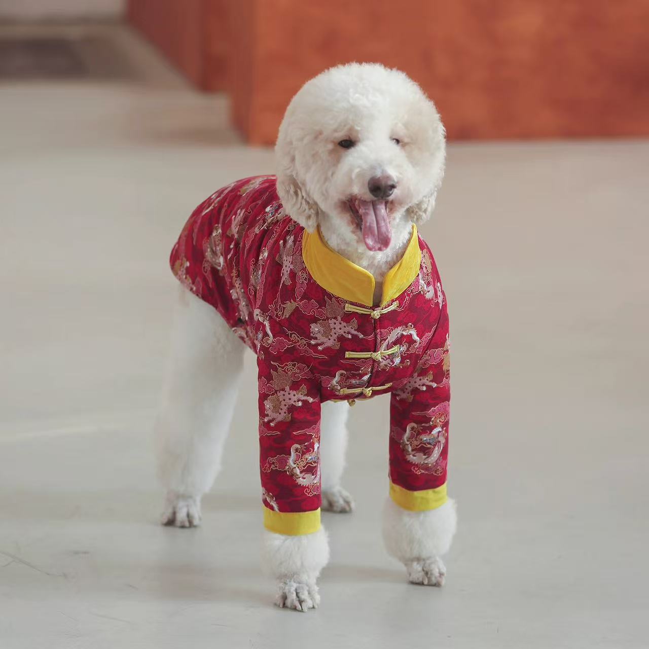 Pet Tang Suit for Chinese New Year