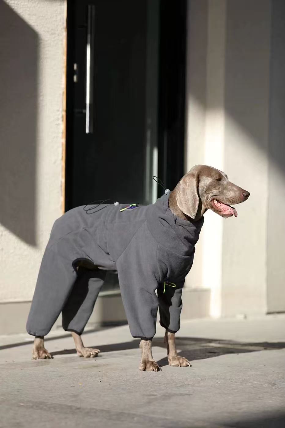 Winter Warm Jumpsuit for Medium & Large Dogs