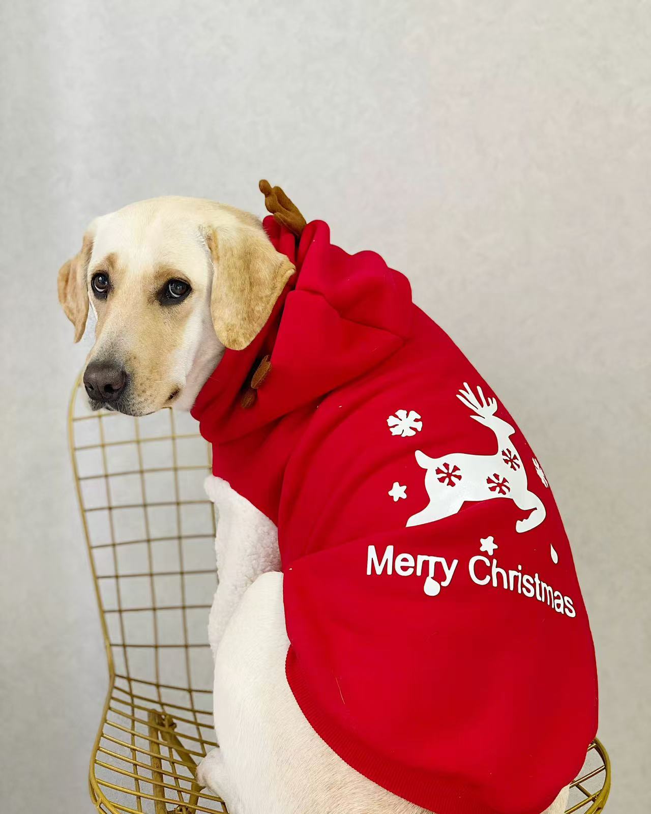 Wepeto Christmas Reindeer Hoodie for Medium & Large Dogs