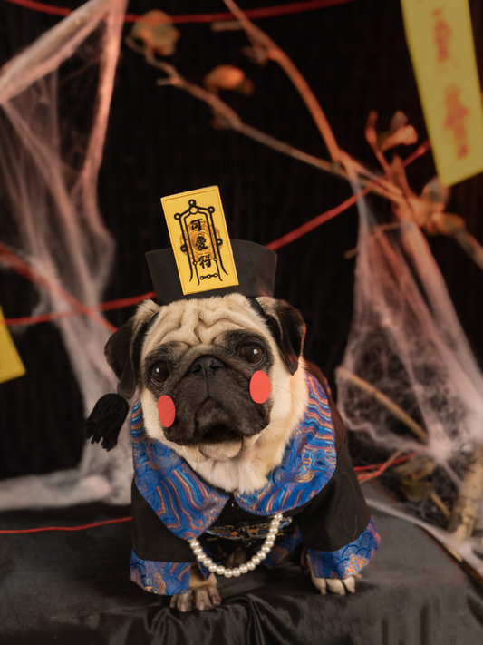 Pet Zombie Cosplay Costume – Spooky & Adorable Outfit for Pets