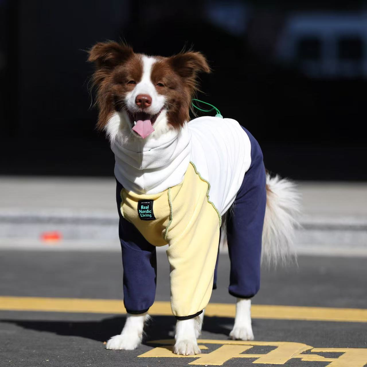 Nordic Style Winter Jumpsuit for Large Dogs – Cozy Four-Leg Fleece Outfit