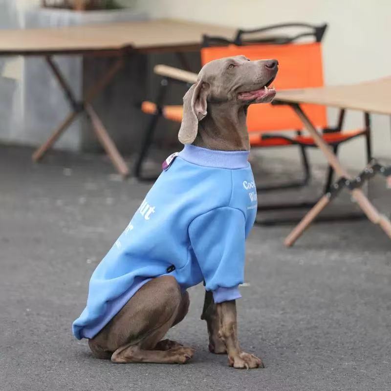 Cozy Winter Hoodie for Medium & Large Dogs – “Coconut Water” Edition