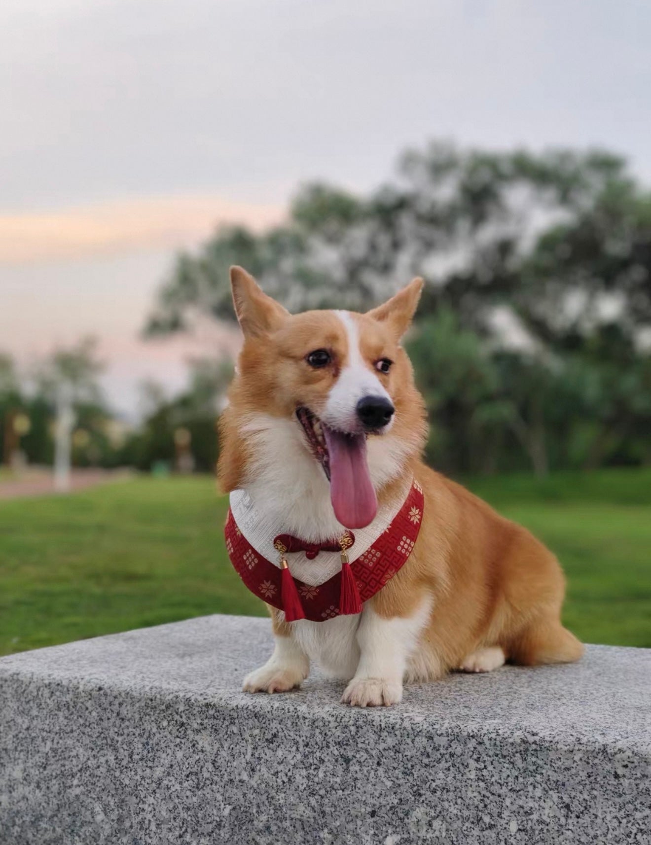 Guangxi Zhuang Brocade Pet Bib