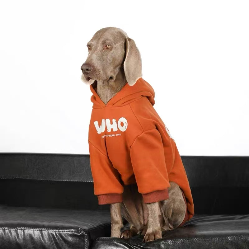 “WHO” Hoodie for Medium & Large Dogs – Warm, Stylish & Street-Ready