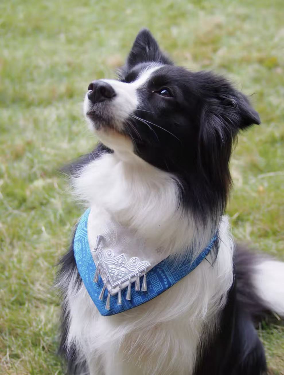 Guangxi Zhuang Brocade Pet Bib