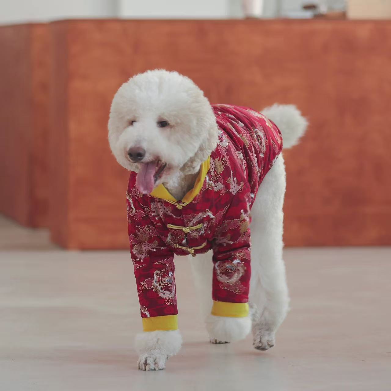 Pet Tang Suit for Chinese New Year