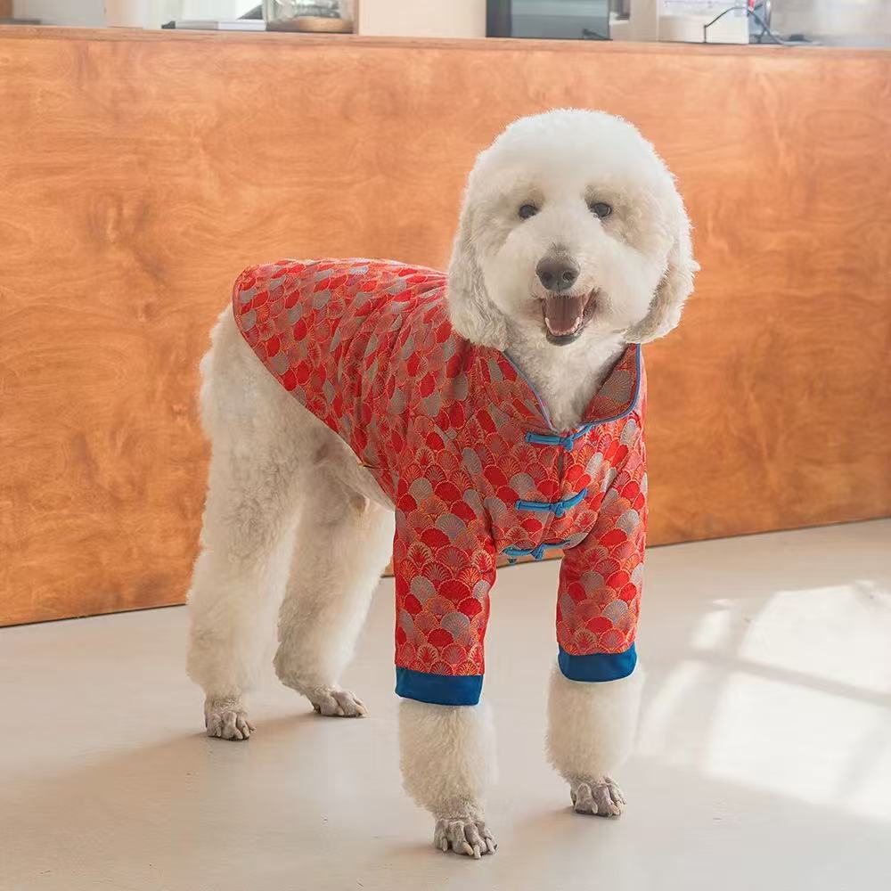 Pet New Year Tang Suit – Celebrate Lunar Joy in Style