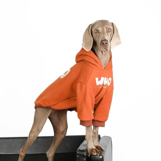 “WHO” Hoodie for Medium & Large Dogs – Warm, Stylish & Street-Ready