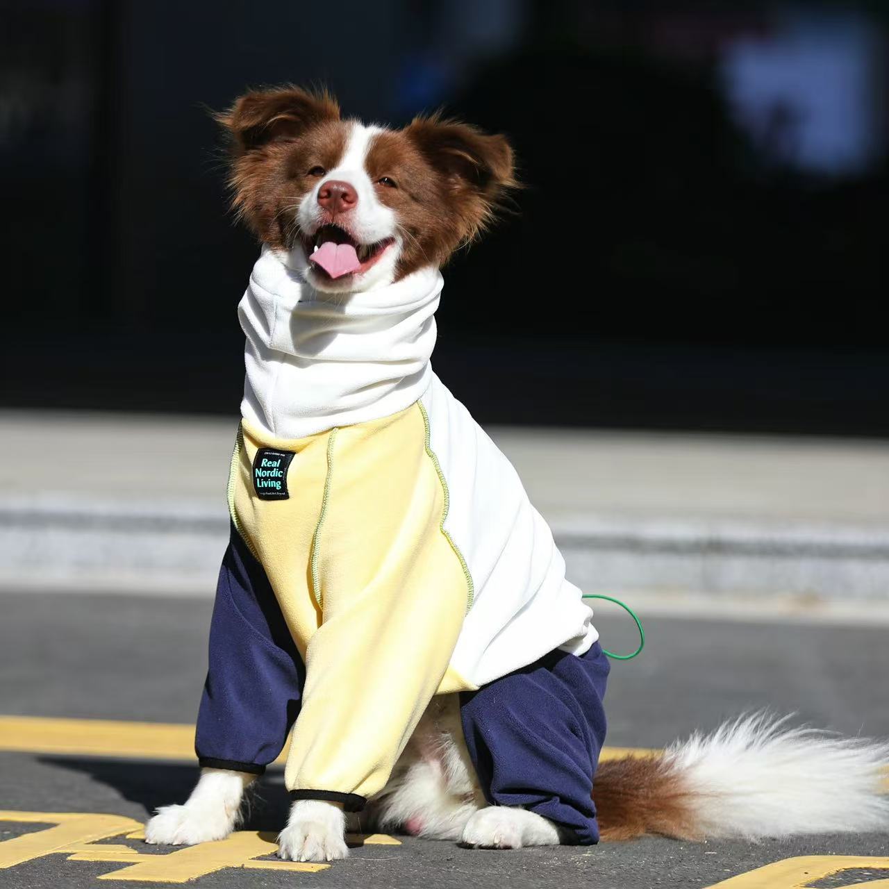 Nordic Style Winter Jumpsuit for Large Dogs – Cozy Four-Leg Fleece Outfit